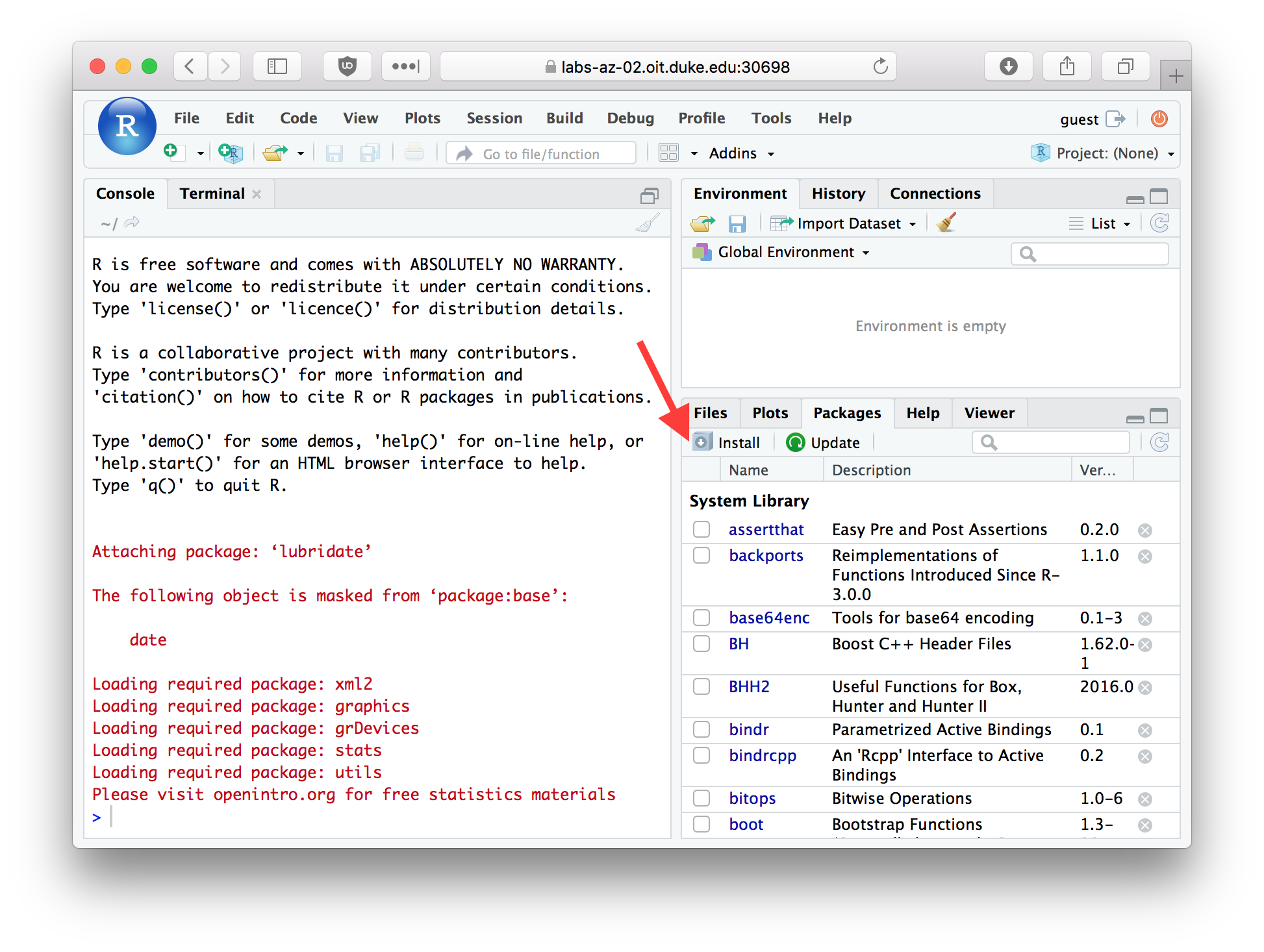 The Packages tab in RStudio