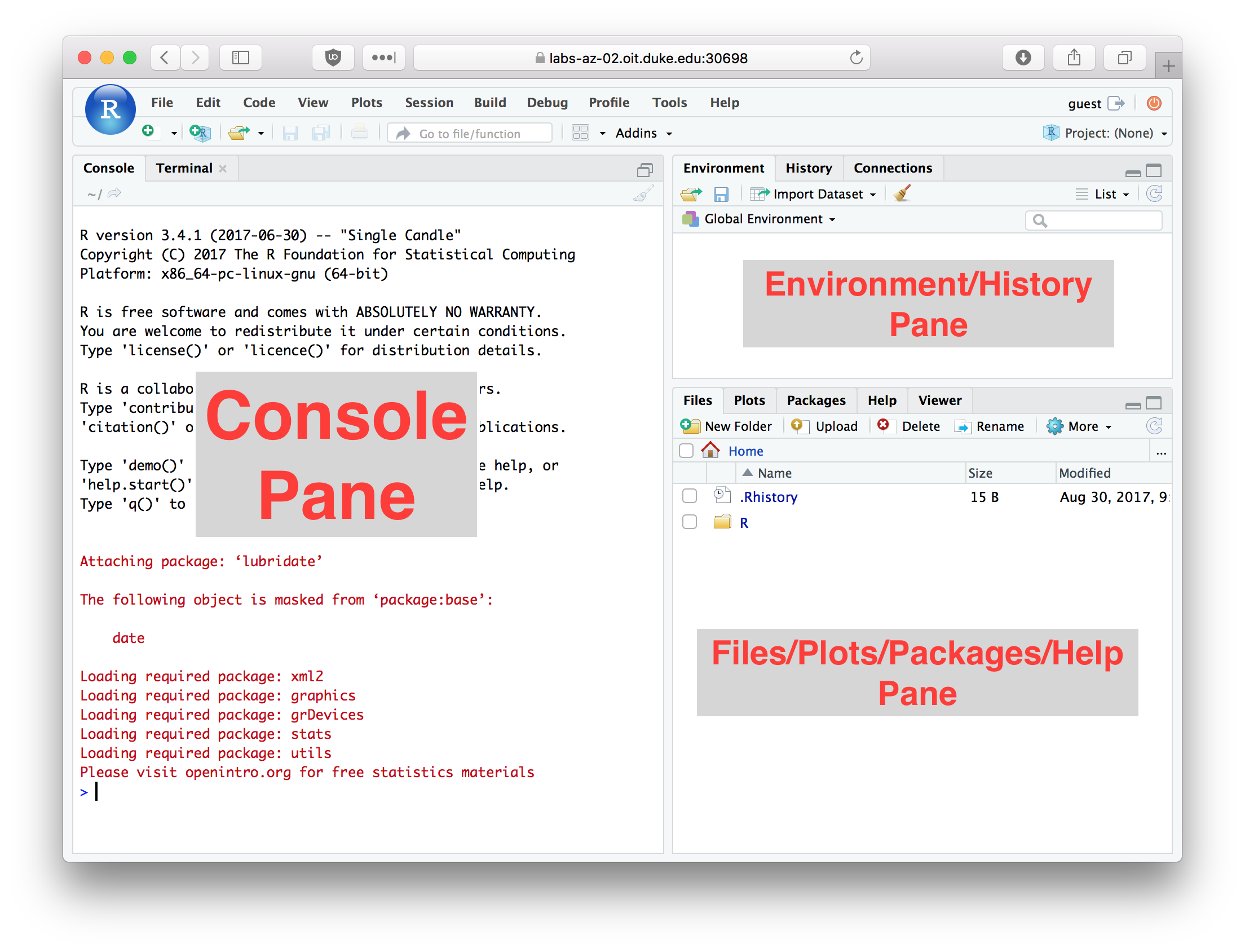 RStudio window with the panes labeled