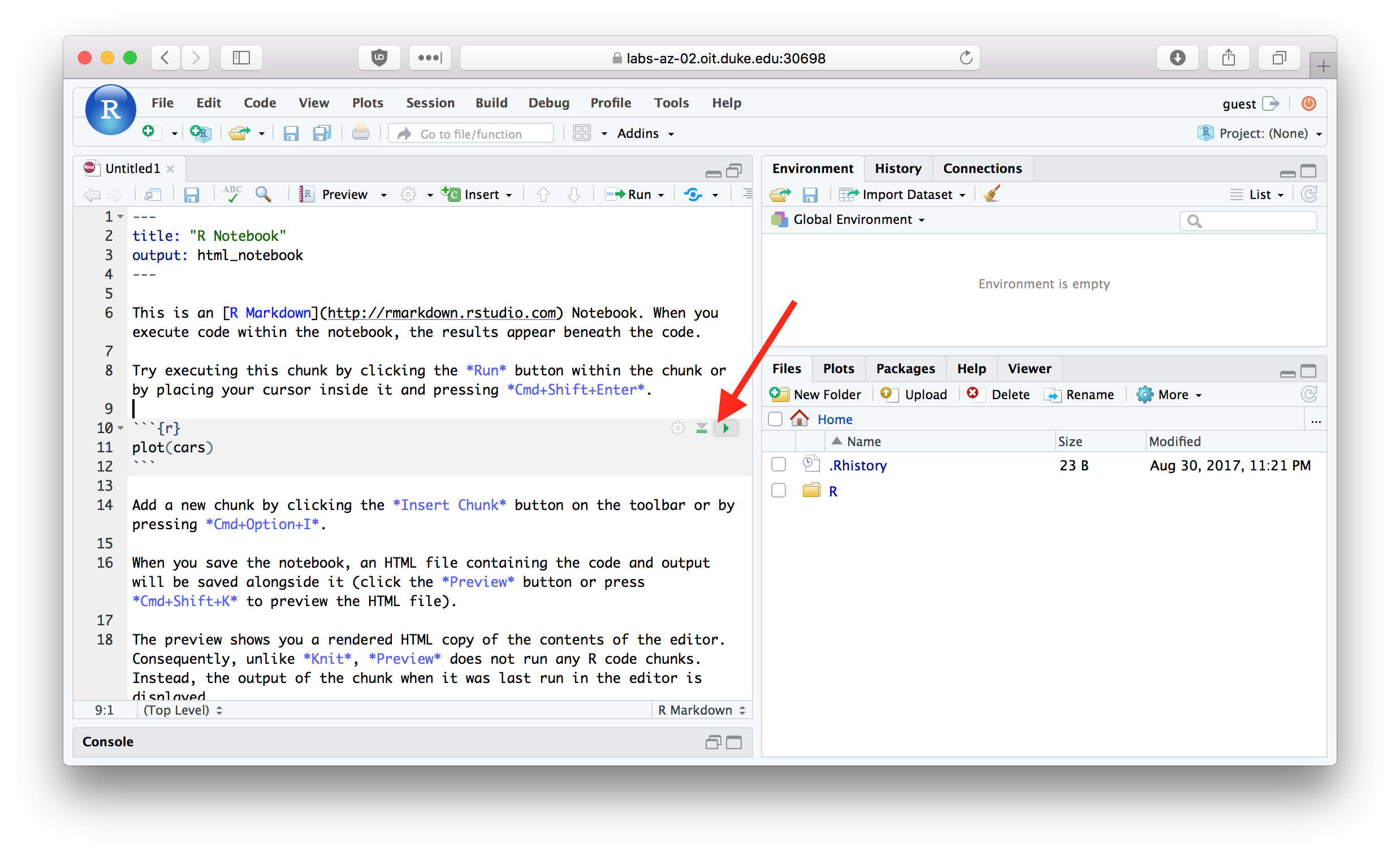 Click the Run button to execute a code chunk.